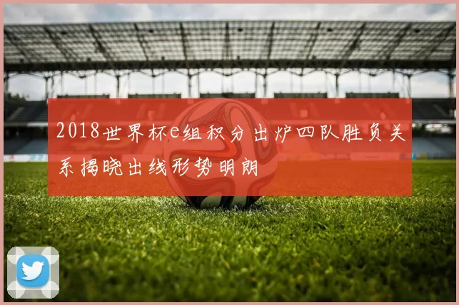 2018世界杯e组积分出炉四队胜负关系揭晓出线形势明朗